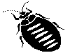 Copy of BEDBUG.gif (2303 bytes)